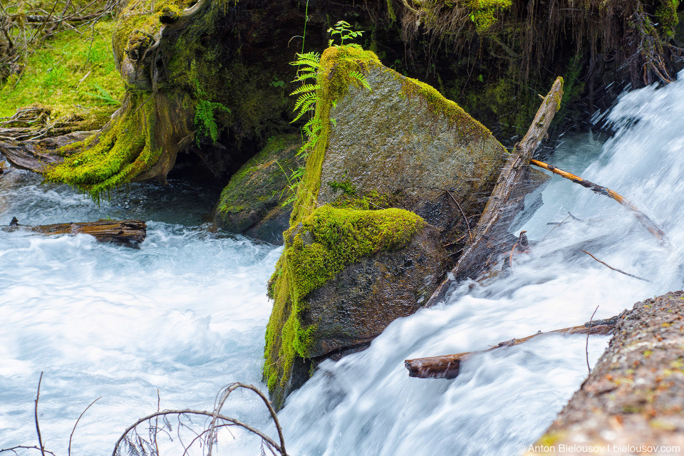 Lindeman Lake Creek (Chilliwack, BC)