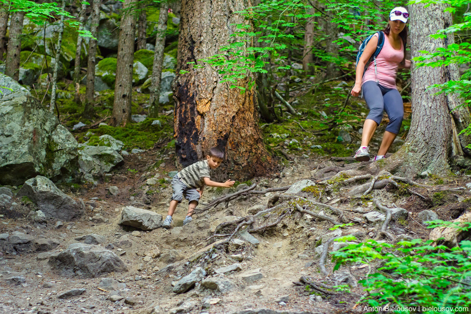 Lindeman Lake Trail (Chilliwack, BC)