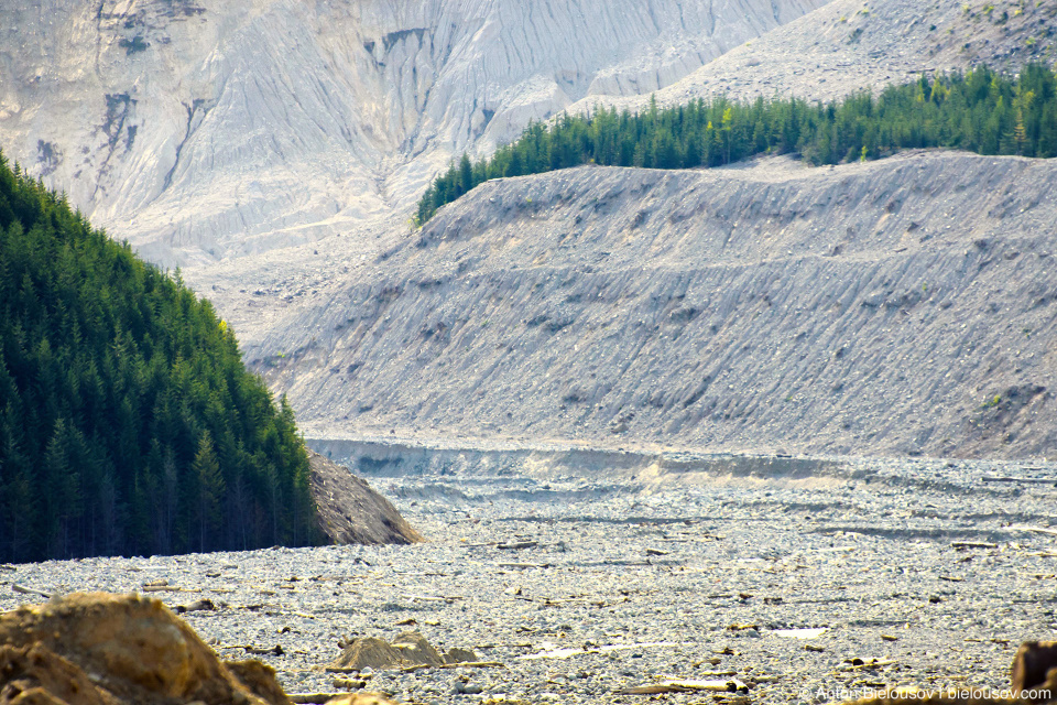 Завалы на месте оползня Meager Mountain 2010 года в долине Lillooet River в районе городка Pemberton, BC