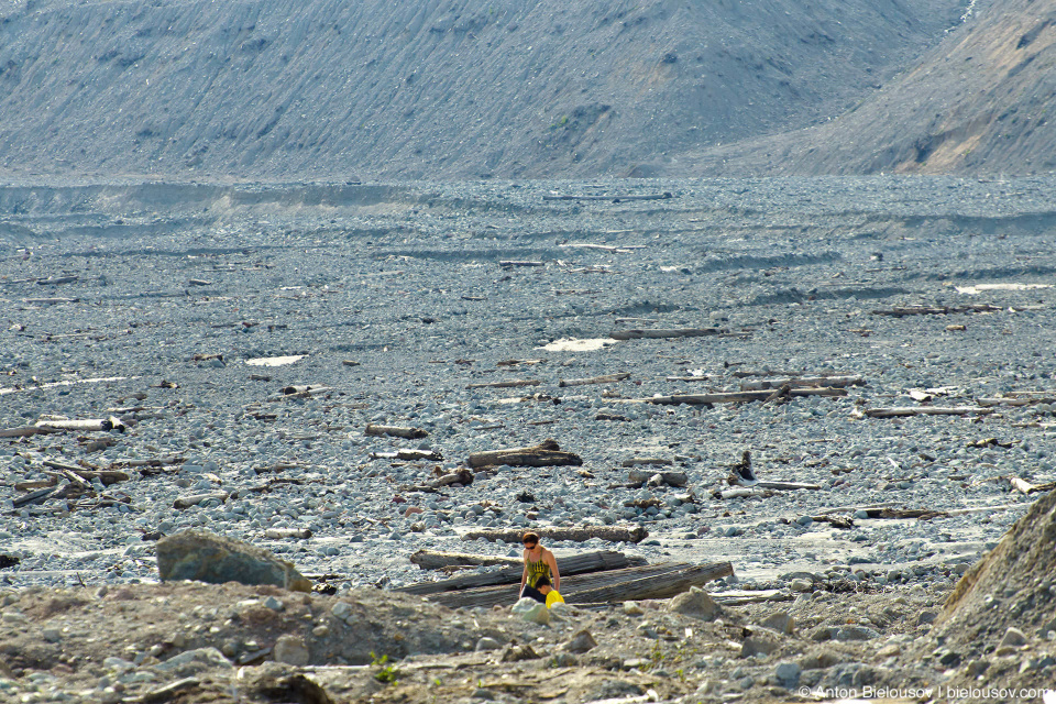 Завалы на месте оползня 2010 года в долине Lillooet River в районе городка Pemberton, BC