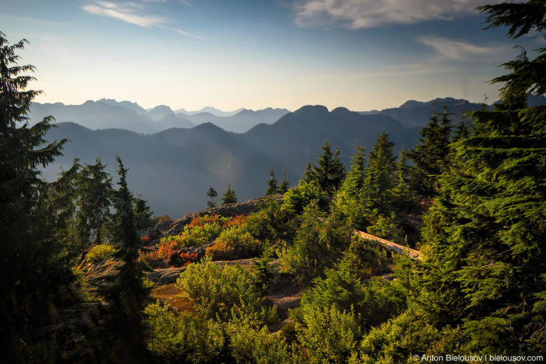 Dog Mountain Top