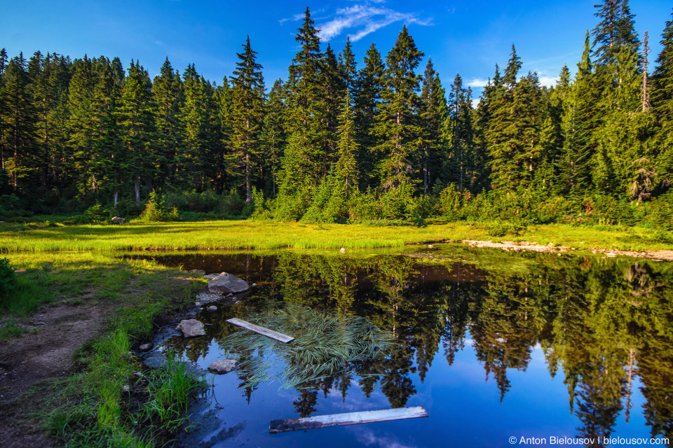 First Lake, Seymour Mountain