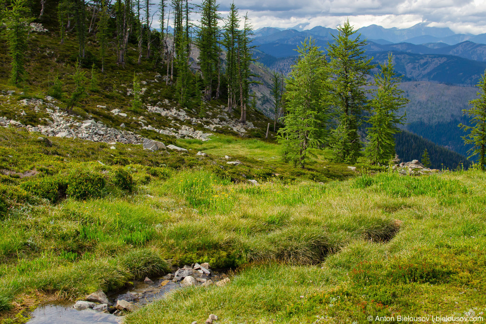 Frosty Creek Source