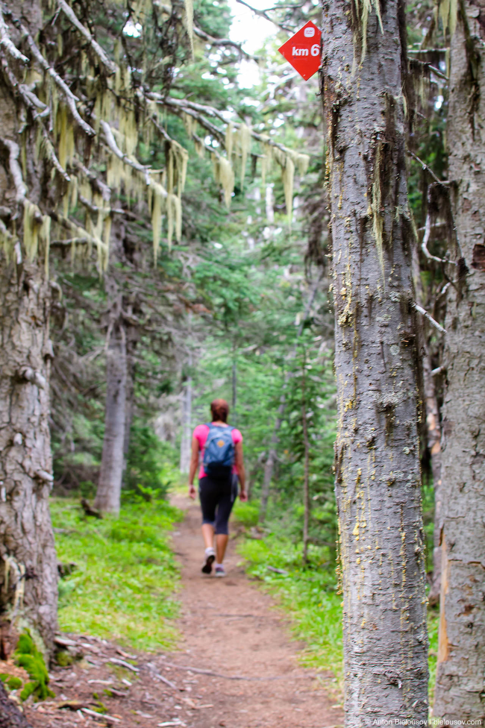 Frosty Mountain Trail 6km Mark