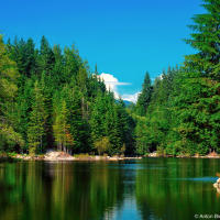 Rice Lake Rice Lake