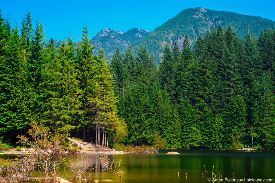 Rice Lake (Vancouver, BC)