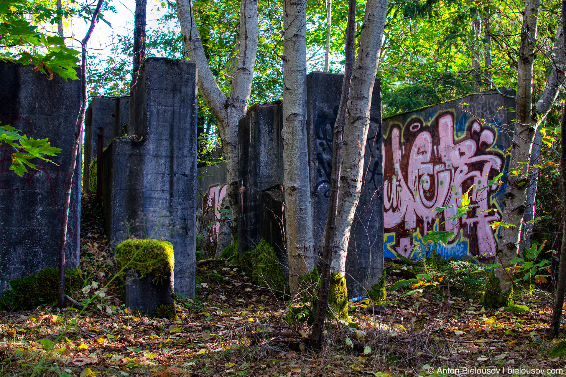 Музейшахта «Британия» — Britannia Mine Museum