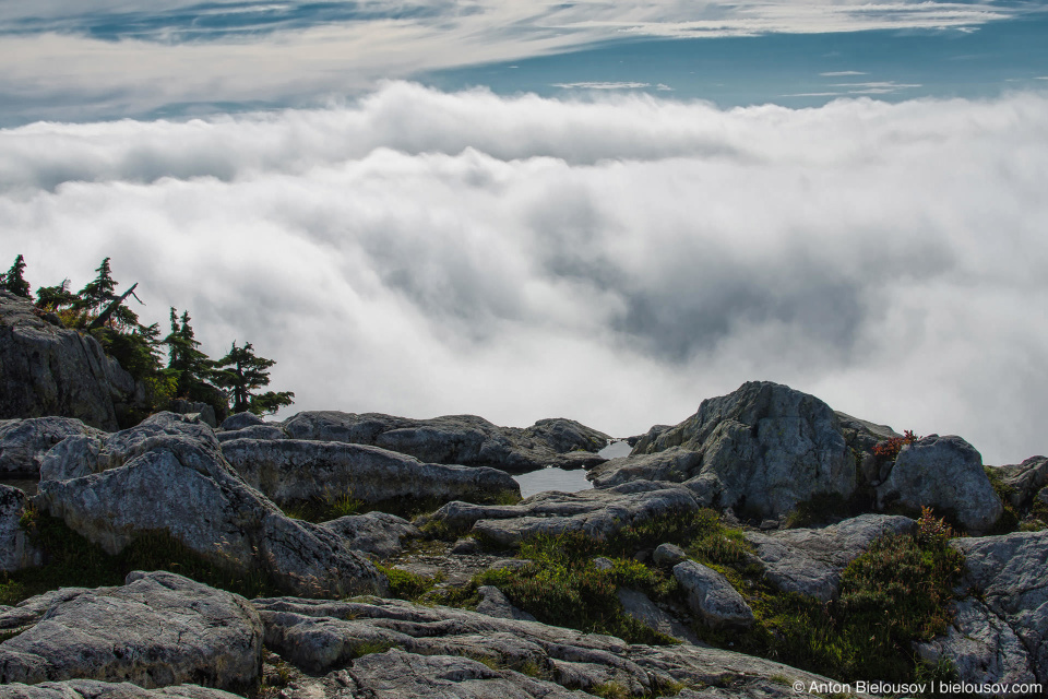 Seymour Mountain top view above the clouds