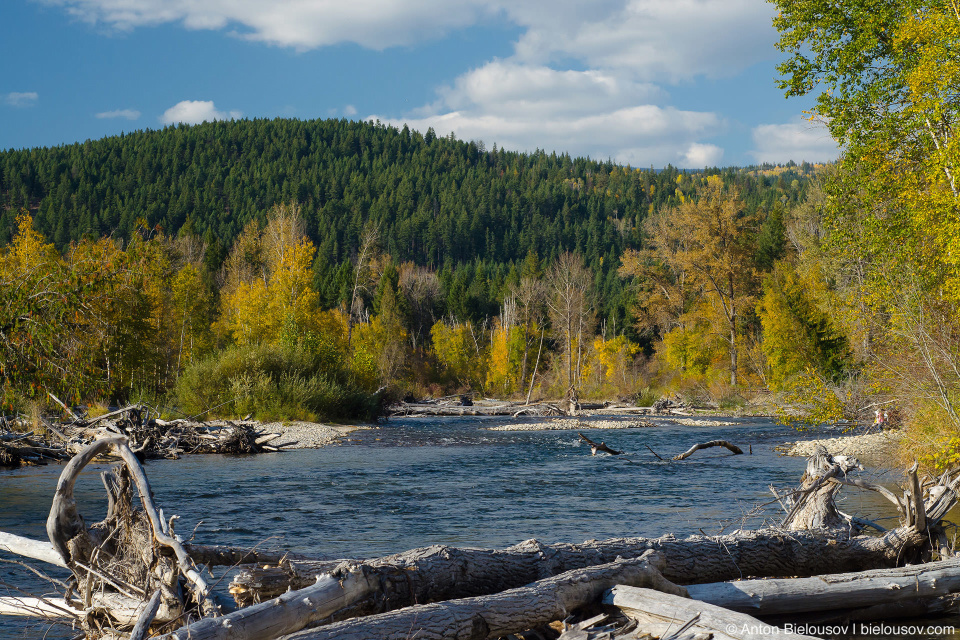 Adams River, BC