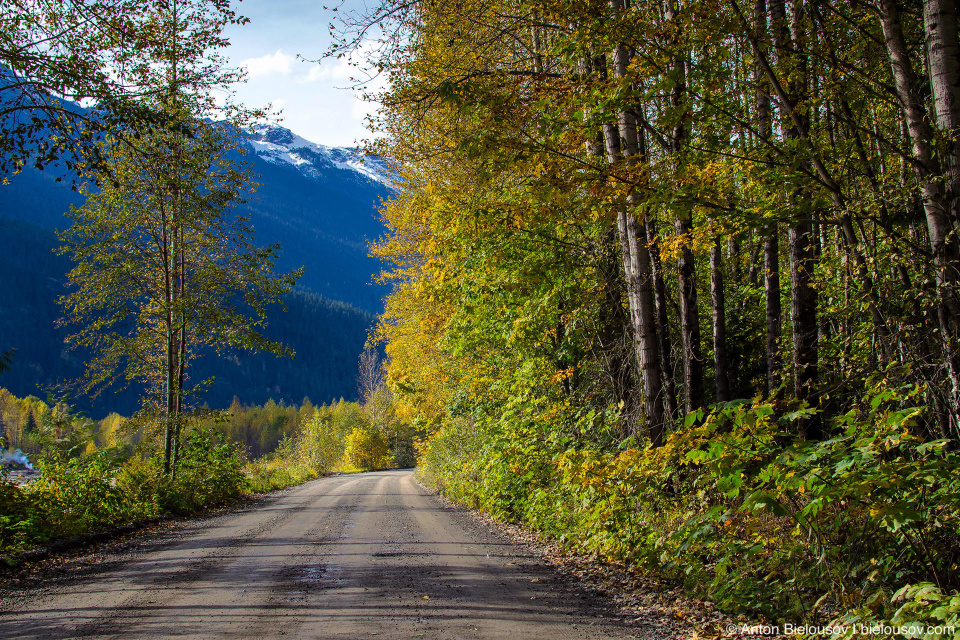 Lillooet Forestry Service Road — здесь так называют гравийные дороги, по которым из лесу вывозят древесину на огромных грузовиках.