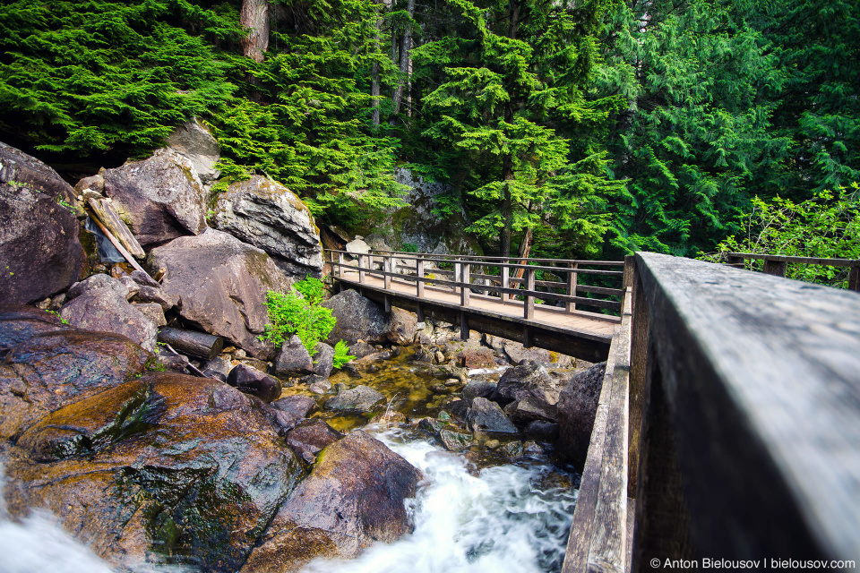 Chief and Upper Shannon trails bridge