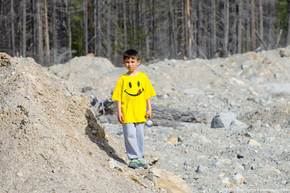 Завалы на месте оползня 2010 года в долине Lillooet River в районе городка Pemberton, BC