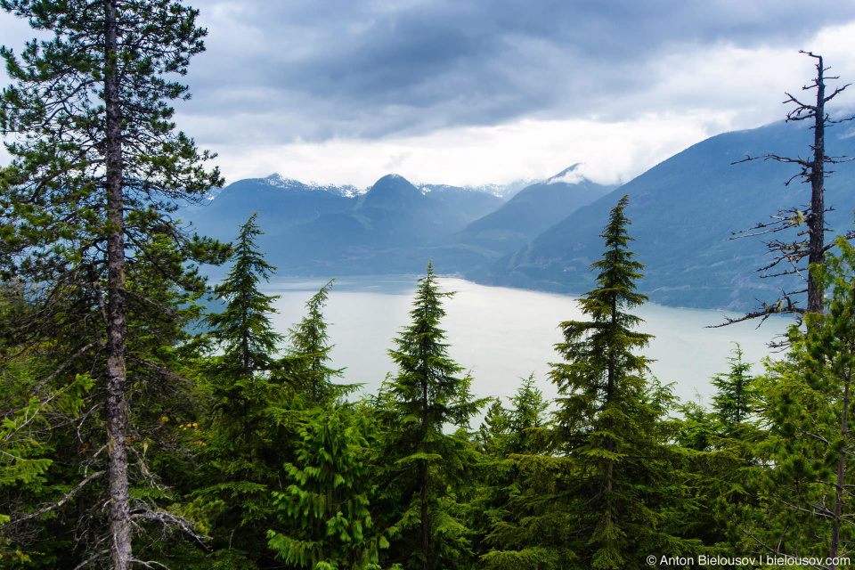 Howe Sound view from Upper Shannon Falls