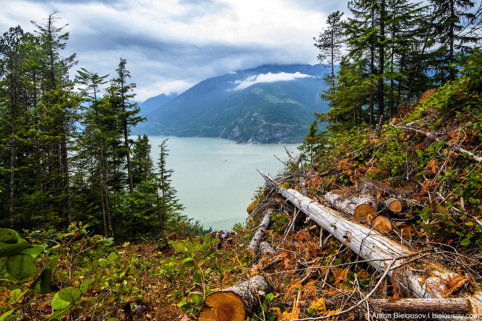 Howe Sound view from Upper Shannon Falls trail