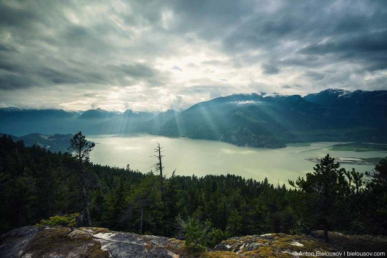 Howe Sound view from Upper Shannon Falls trail top