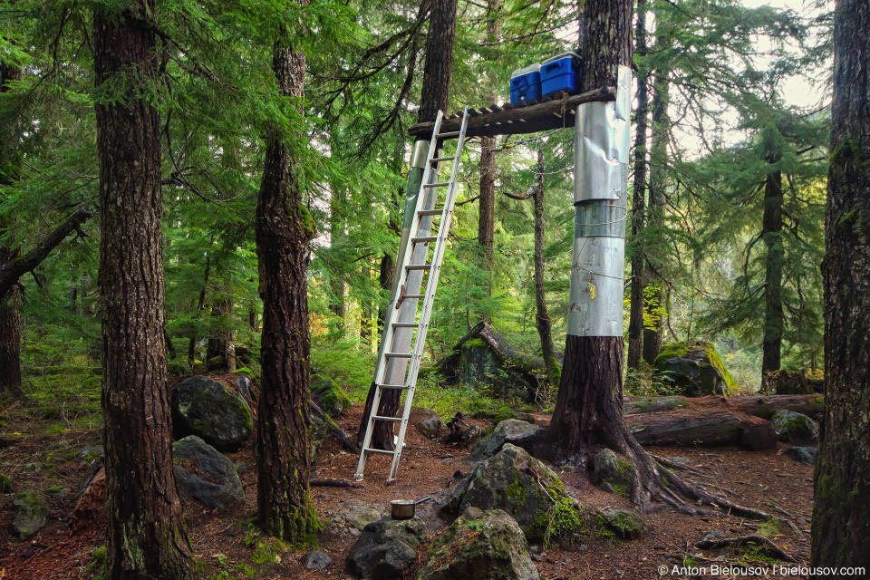 Keyhole Falls Campsite Bear Cache