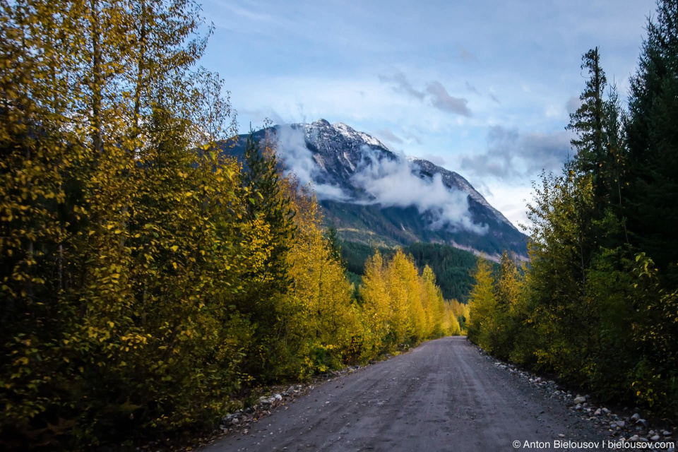 Дорогу Lillooet Forestry Service Road сейчас, осенью ее не узнать: по сравнению с весной она выкаталась, пропали валуны и ветки, теперь здесь можно втопить, а за машиной больше не стоит туча пыли.