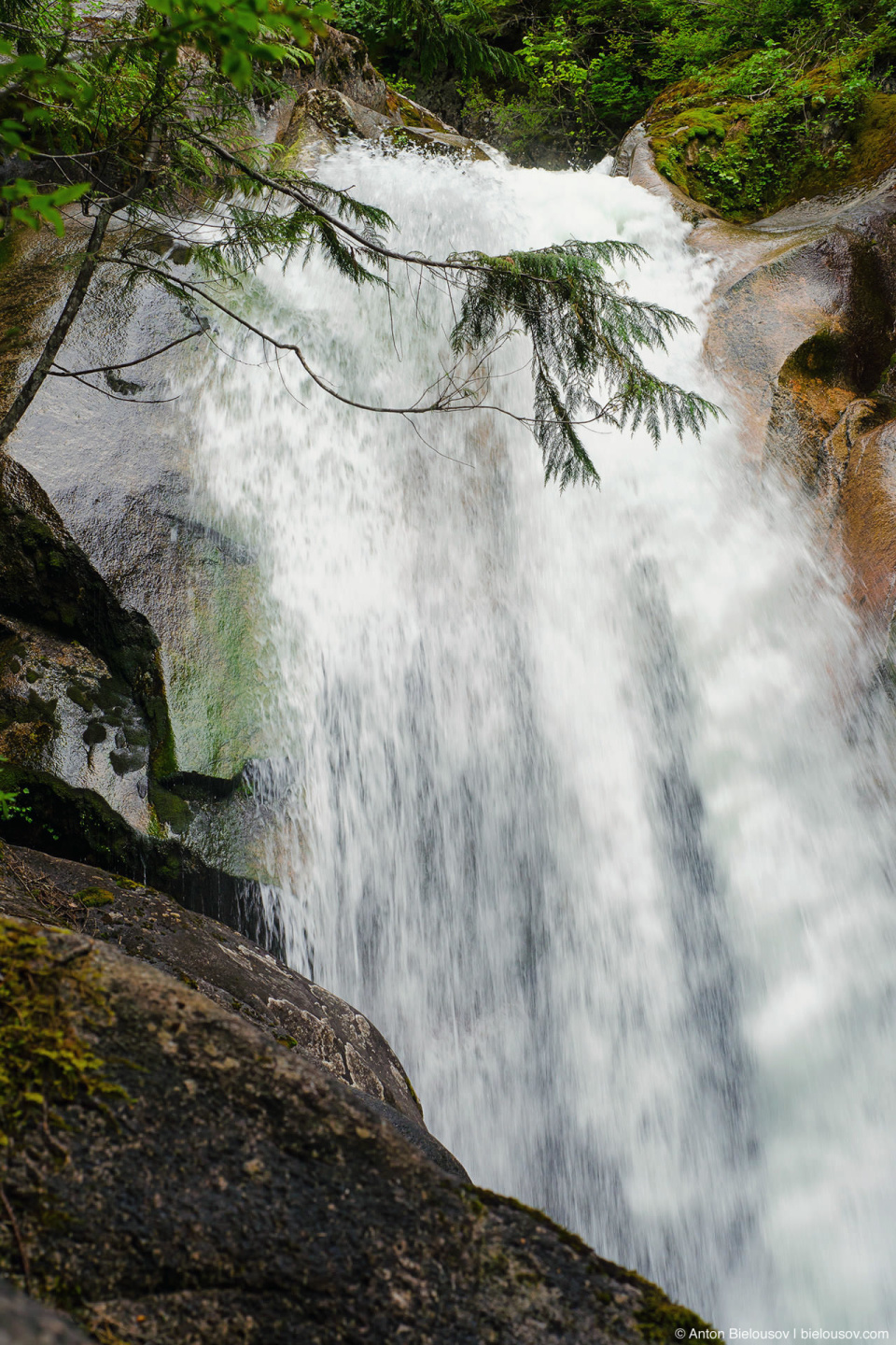 Upper Shannon Falls