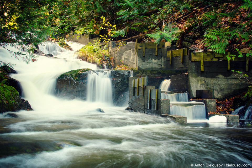 Bridal Veil Falls and salmon run ladder (Bowen Island, BC)