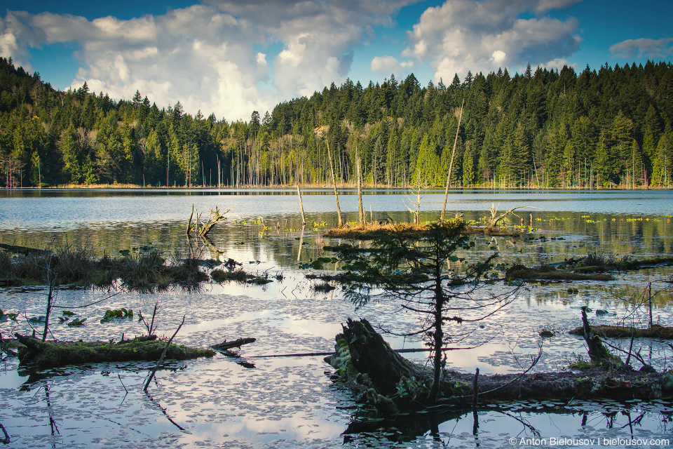 Killarney Lake, Bowen Island