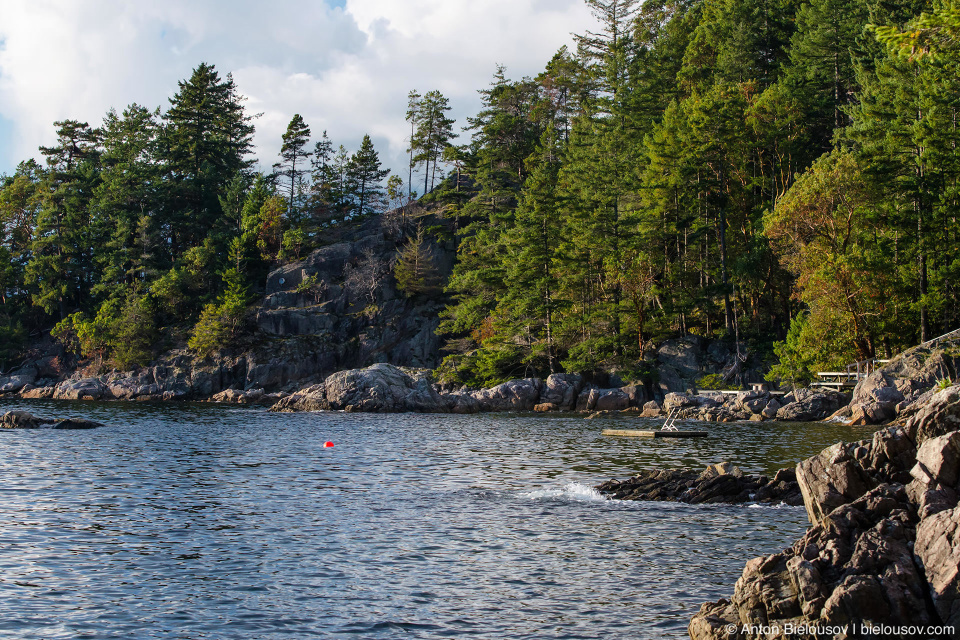 Bowen Island Shore