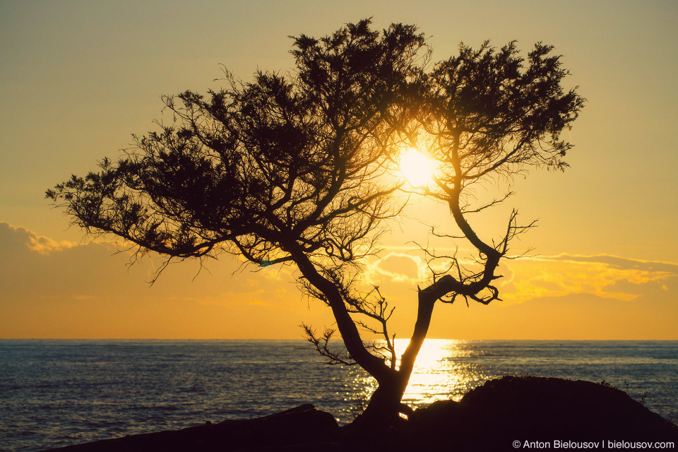 Bowen Island Sunset