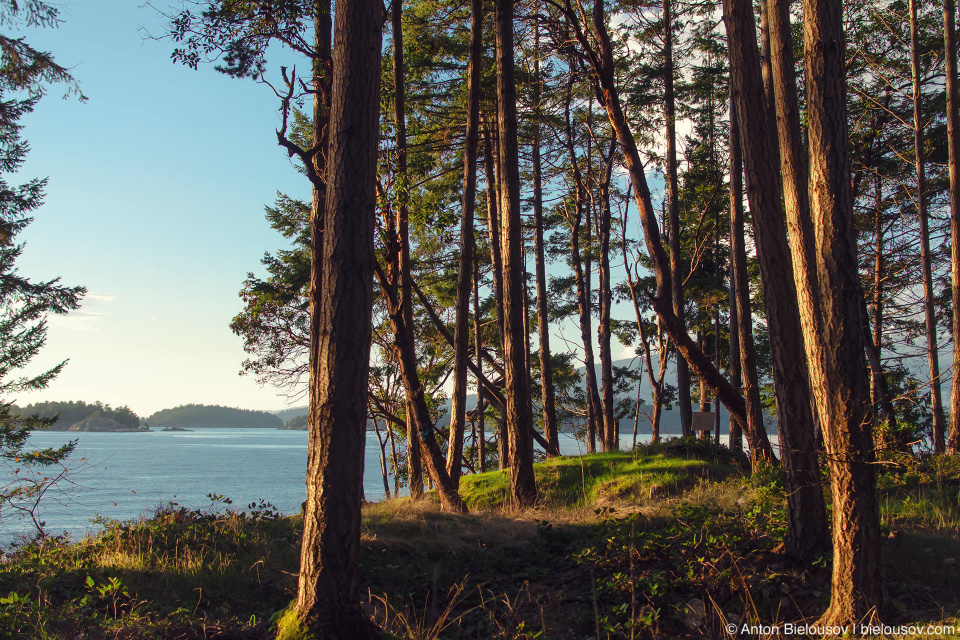 Bowen Island Shore