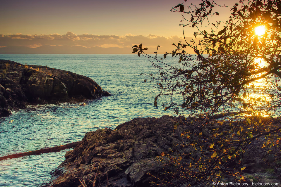 Bowen Island Sunset