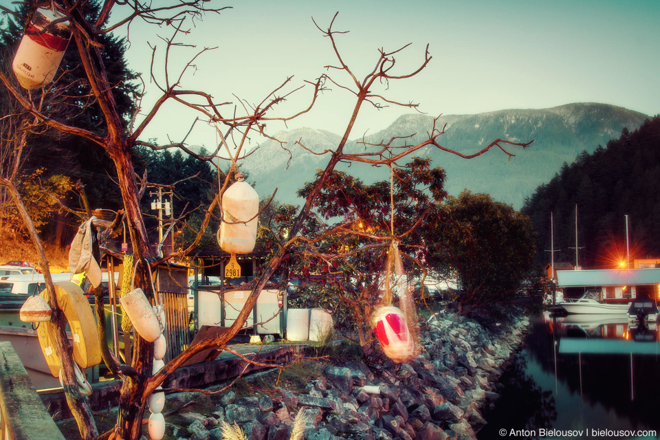 Bowen Island wish tree