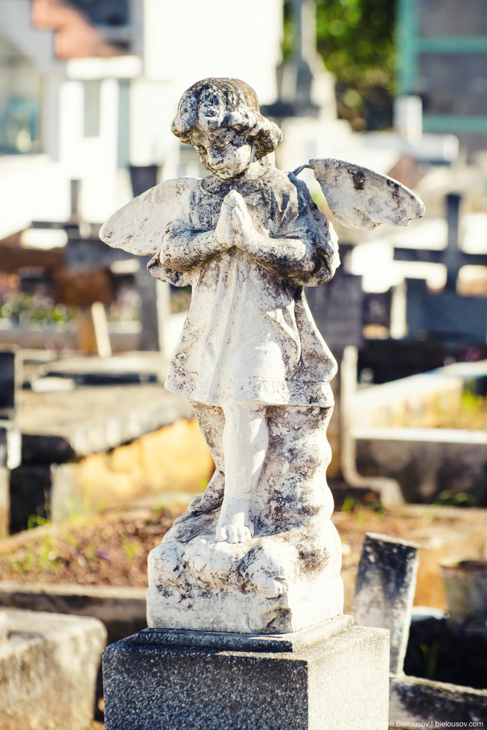 Angel statue at Remedios Cemetery. CUBA