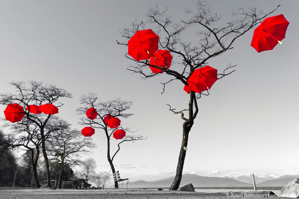 Rainblossom Project, Spanish Banks, Vancouver, BC