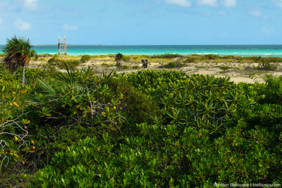 Cayo Santa Maria National Park Beach