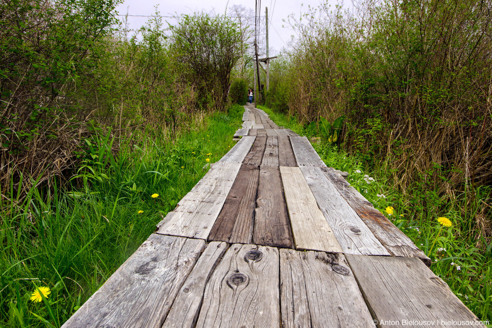 Finn Slough trail (Vancouver, BC)