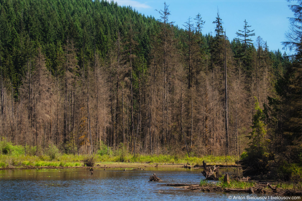 Buntzen Lake trail