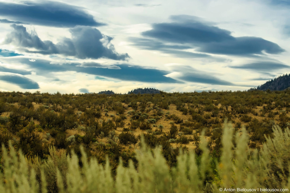 Nk'mip Desert — Osoyoos, BC