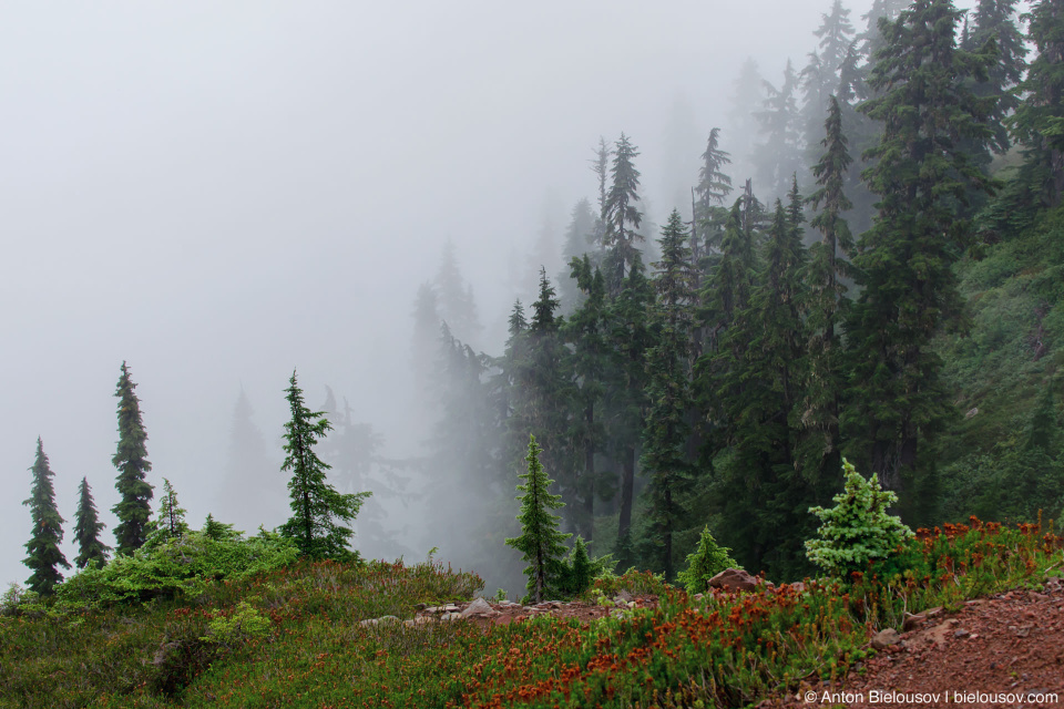 Elfin Lakes trail