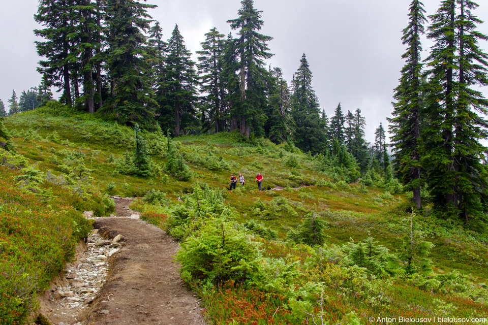 Elfin Lakes trail