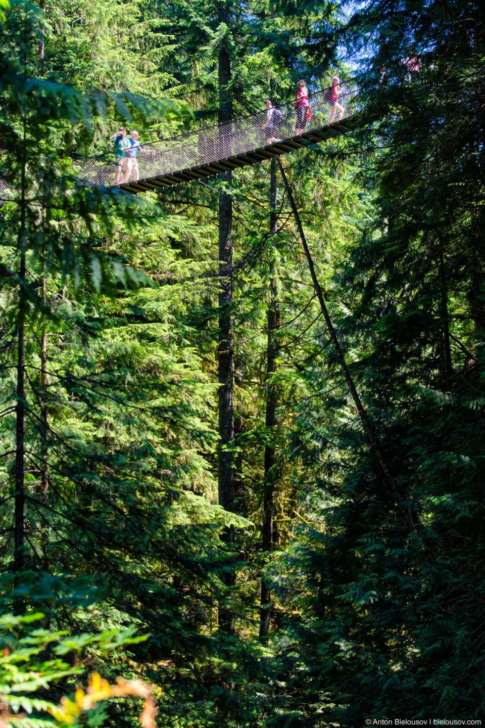 Подвесной мост Lynn Canyon Suspension Bridge (North Vancouver, BC)