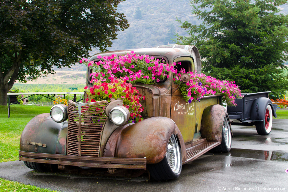 Oliver Twist Wineyard Vintage Truck (Oliver, BC)