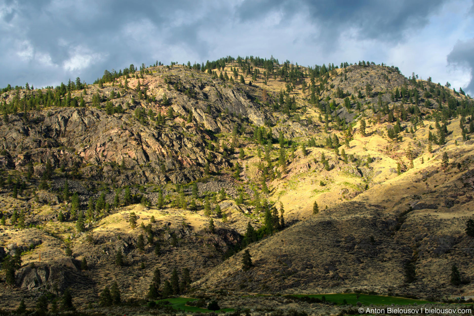 Nk'mip Desert (Osoyoos, BC)