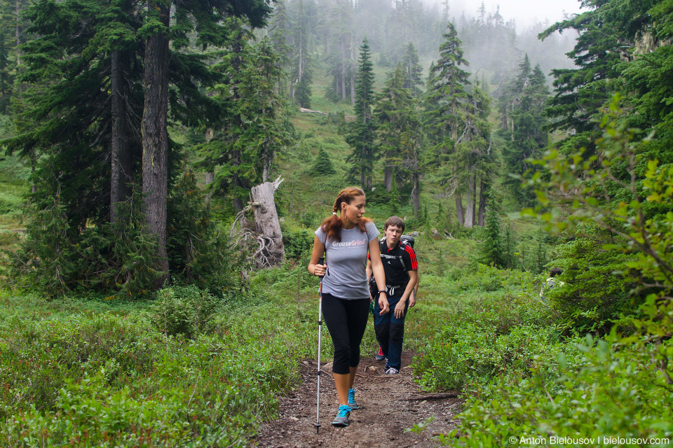 Trail to Elfin Lakes