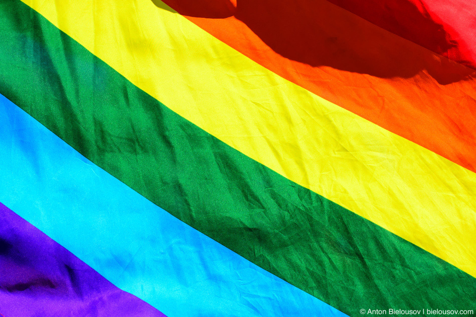 LGBT Rainbow Flag — Vancouver Pride Parade, 2014