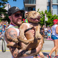 Pitbull Lovers Club — Vancouver Pride Parade, 2014 Pitbull Lovers Club — Vancouver Pride Parade, 2014