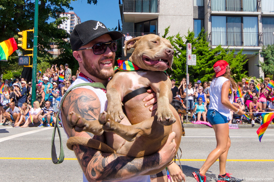 Pitbull Lovers Club — Vancouver Pride Parade, 2014