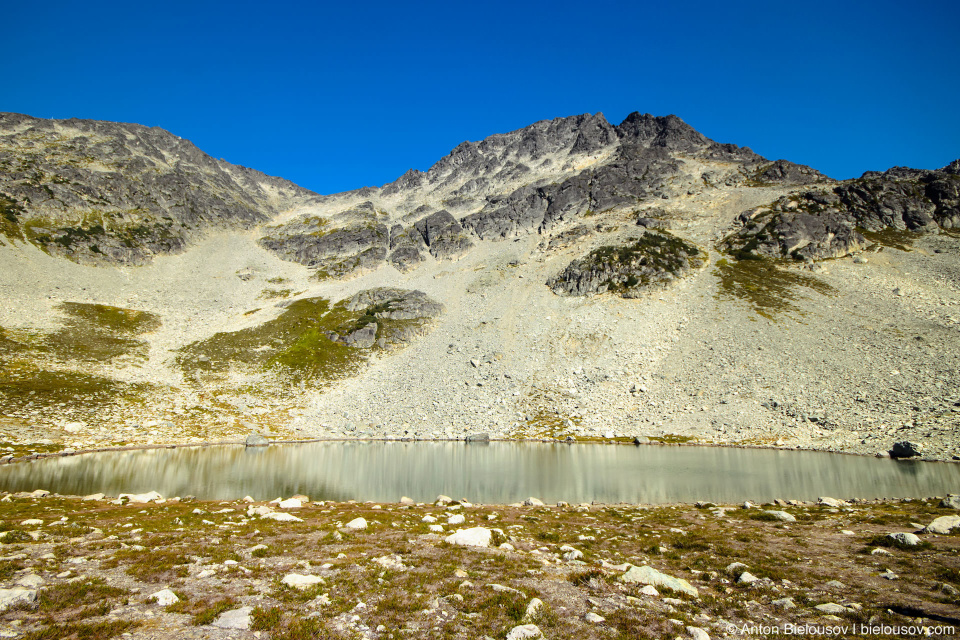 Одна из троп выводит к одноименному озеру — Blackcomb Lake — круглому как тарелочка и такому же интересному.