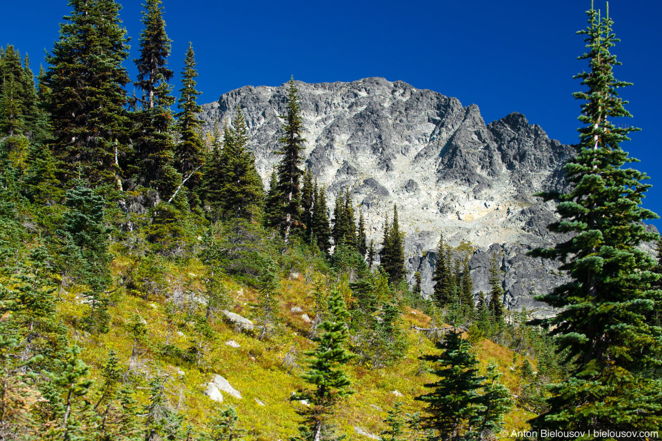 Blackcomb Mountain Peak (2,436m)