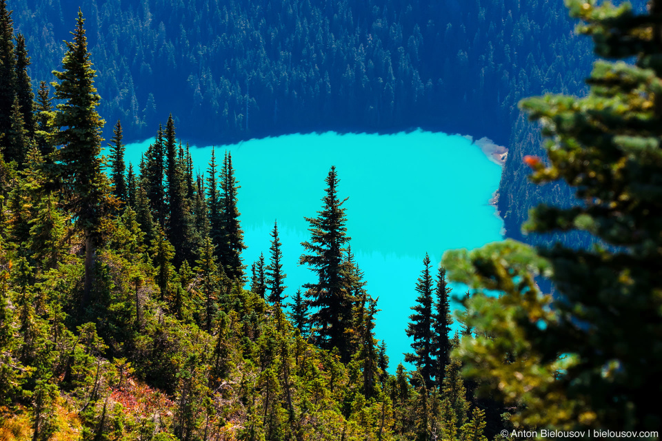 Вид на Cheakamus Lake (Garibladi Provincional Park) с Вистлера (Whistler, BC)