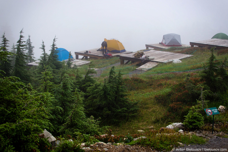 Elfin Lakes Campsite