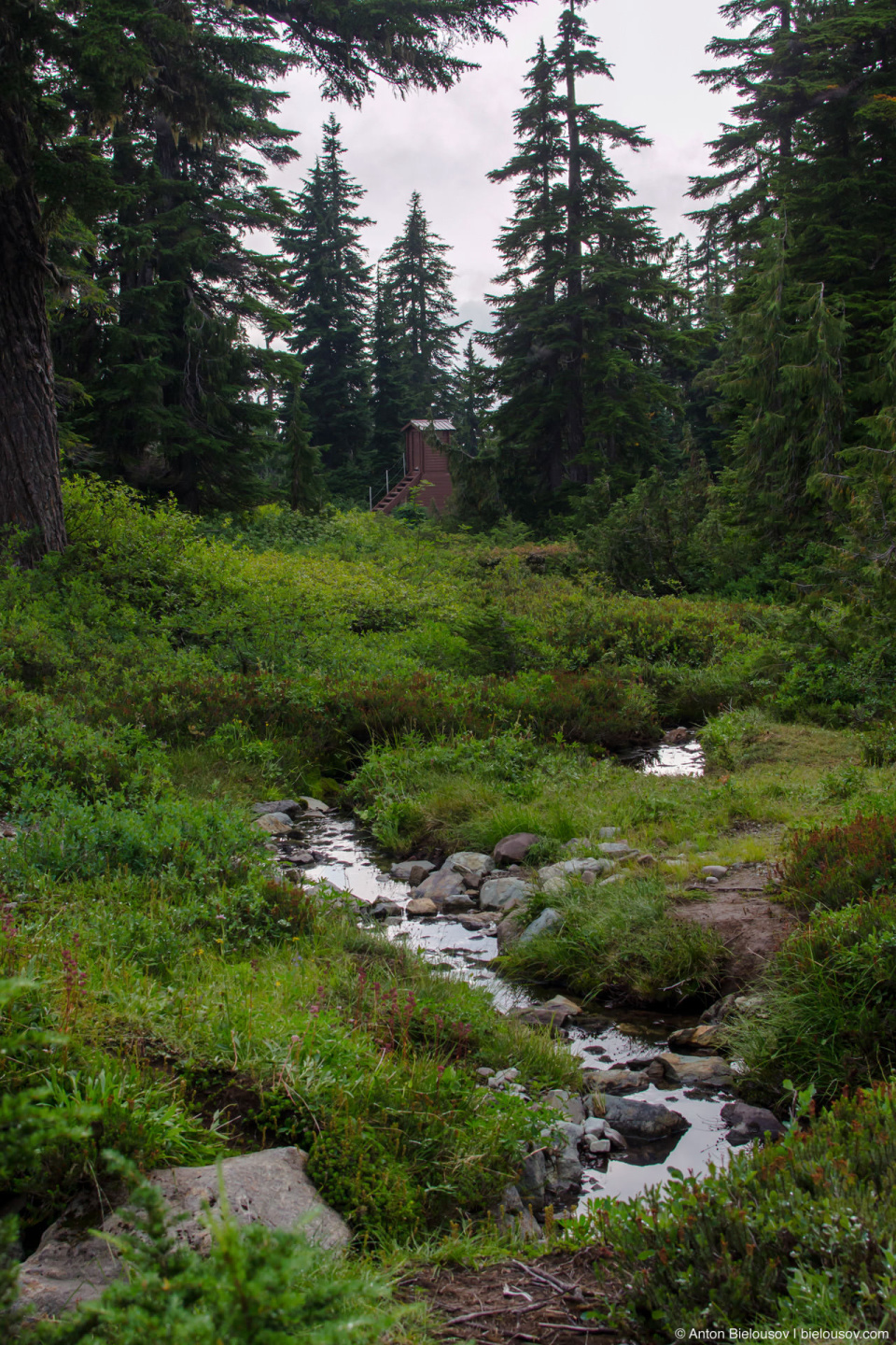 Elfin Lakes trail washroom in the mountains