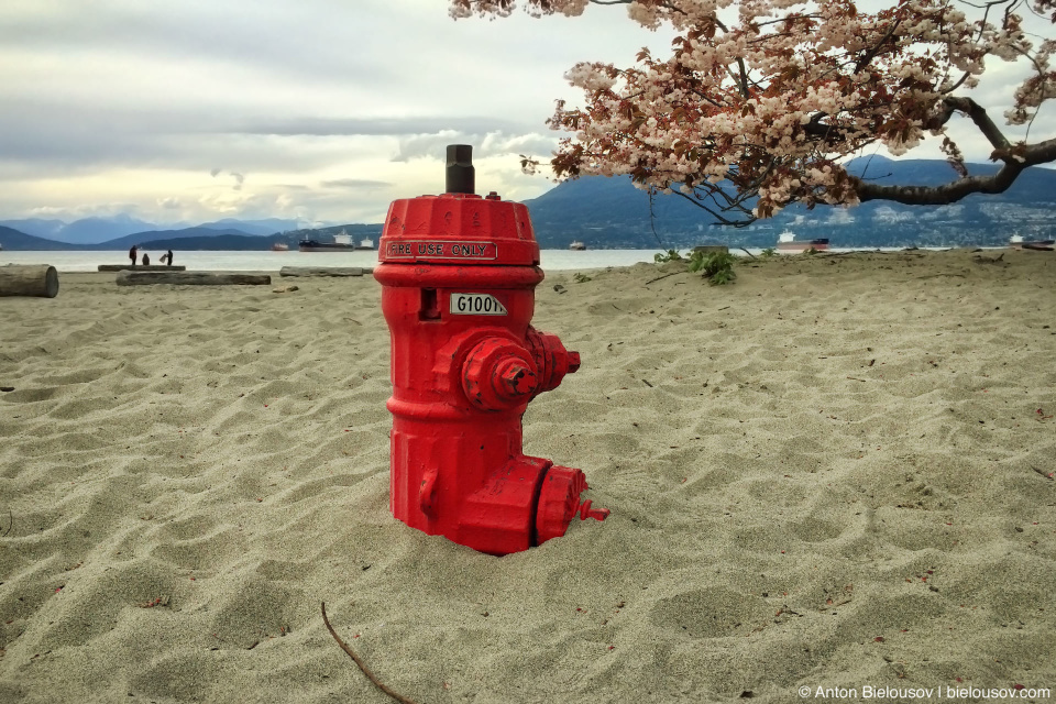 Fire hydrant in sand on Jerricho beach (Vancouver,BC)